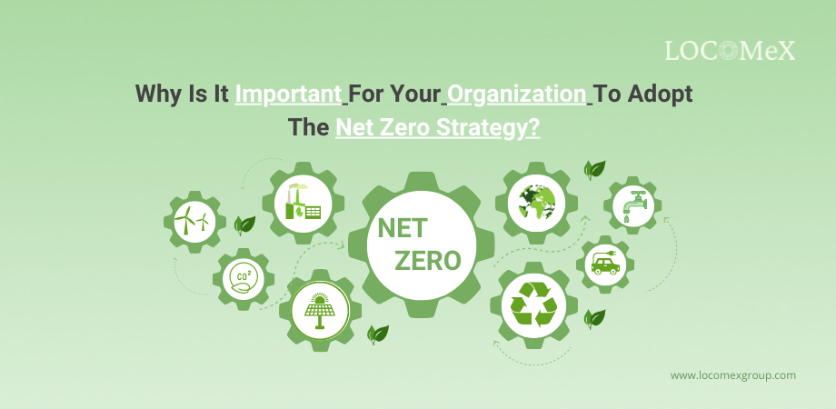Why Is It Important For Your Organization To Adopt The Net Zero Strategy? 