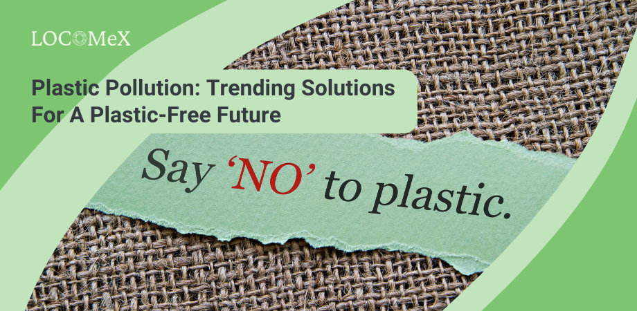 Plastic Pollution: Trending Solutions For A Plastic-Free Future